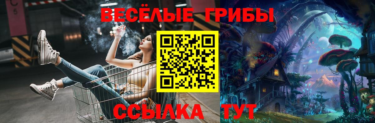 Старая Купавна  Псилоцибиновые грибы ЛСД  Вход с VPN  Псилоцибиновые грибы мухоморы 